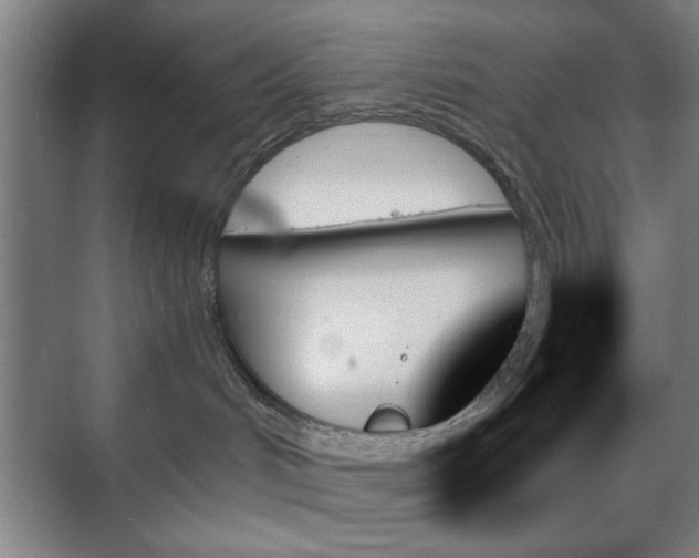 X0000070860048200606191328