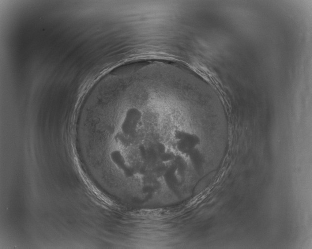 X0000070860049200606191327