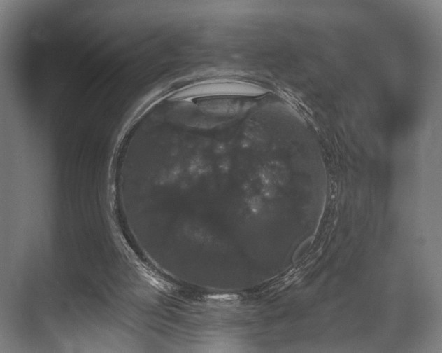 X0000070860053200606191327