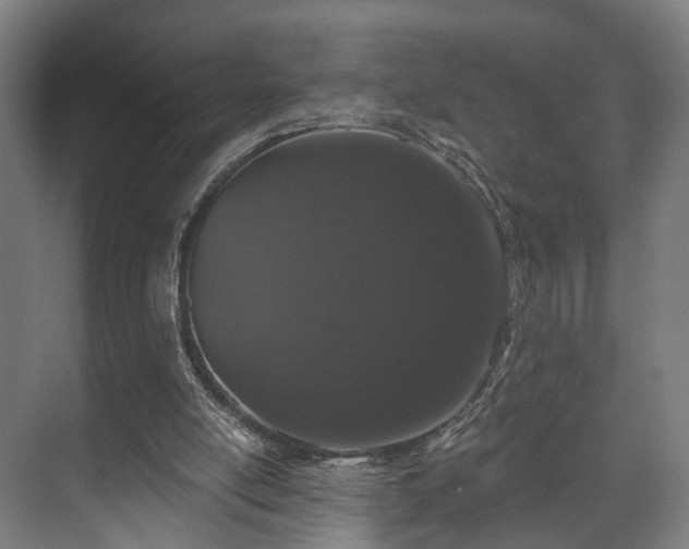 X0000070860054200606191327