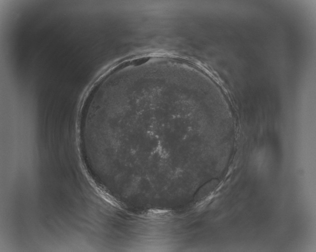 X0000070860055200606191327