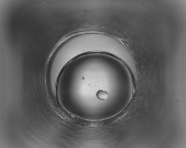 X0000070860056200606191327