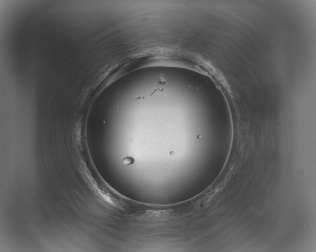 X0000070860057200606191327