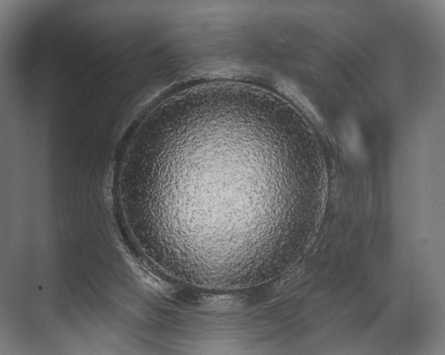 X0000070860058200606191327