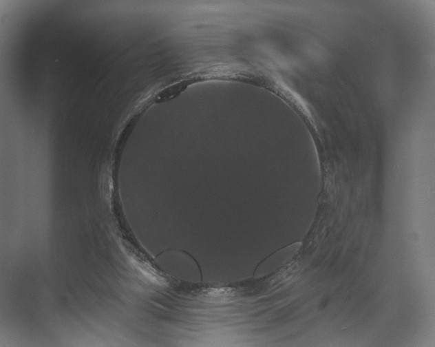 X0000070860059200606191327