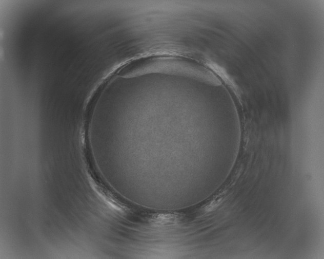 X0000070860060200606191327