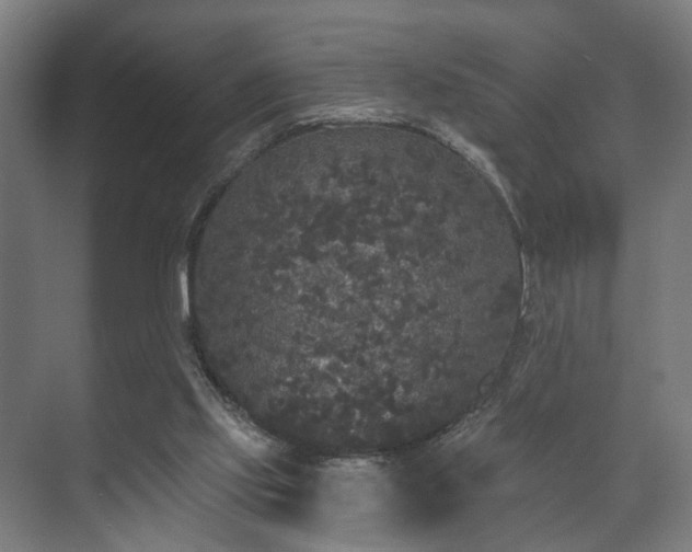 X0000070860061200606191327