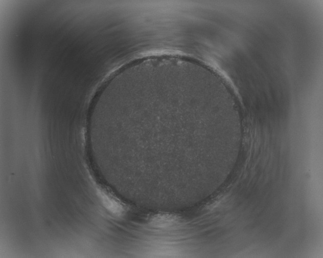 X0000070860063200606191327