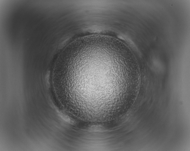 X0000070860066200606191327