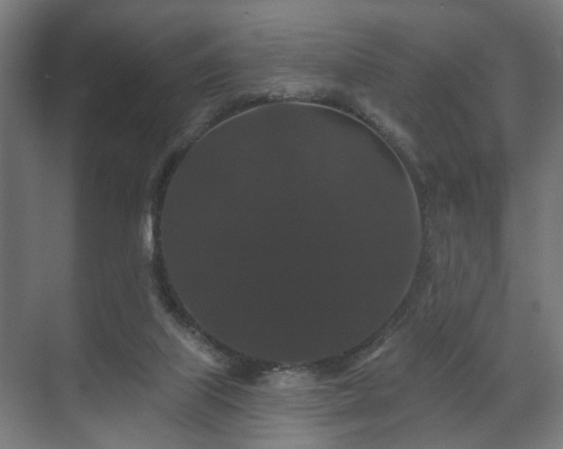 X0000070860067200606191327