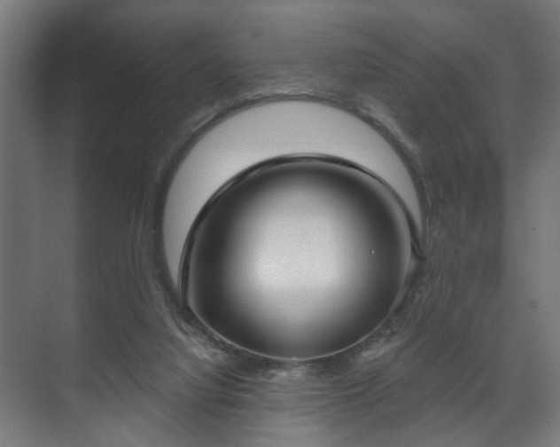 X0000070860068200606191327