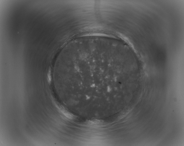 X0000070860069200606191327