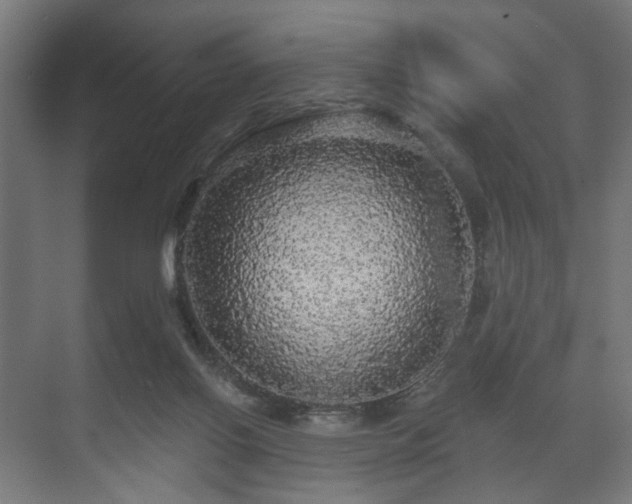 X0000070860070200606191327