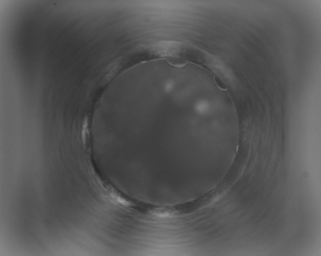 X0000070860073200606191327