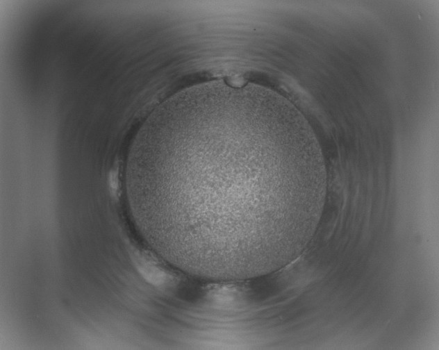 X0000070860074200606191327