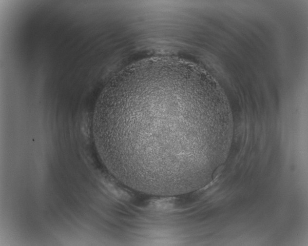 X0000070860078200606191327