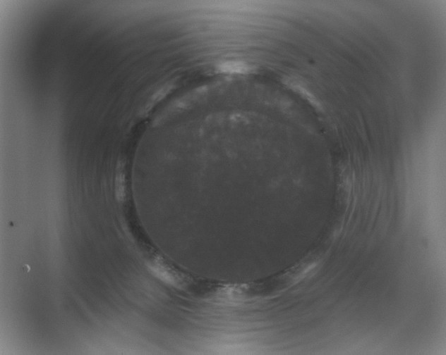 X0000070860080200606191327