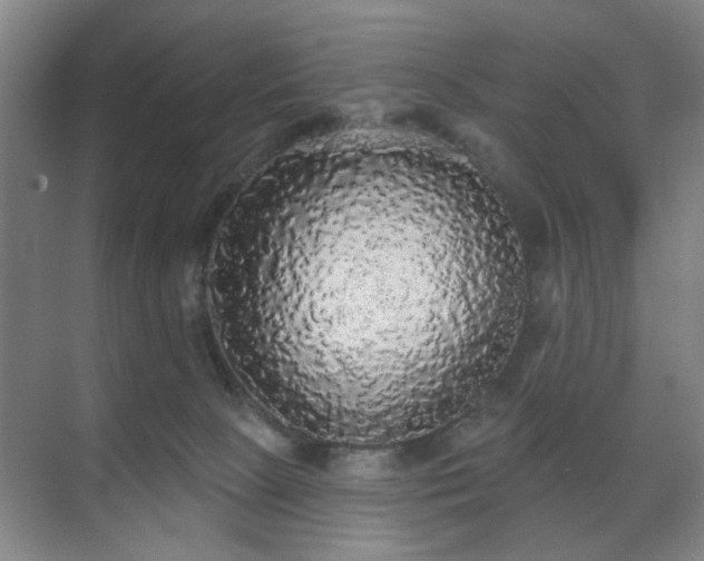 X0000070860081200606191327