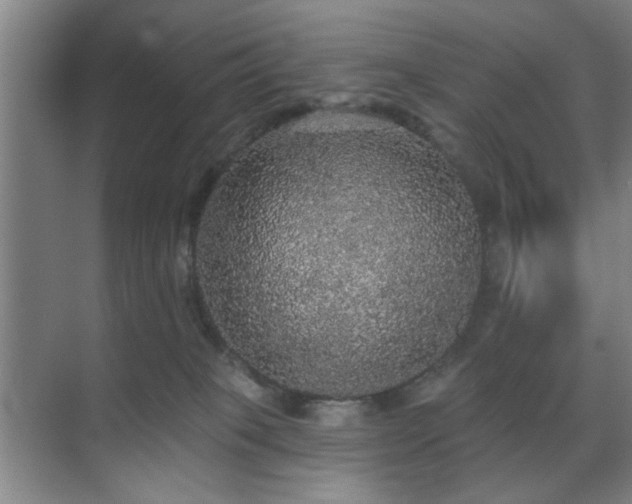 X0000070860085200606191327