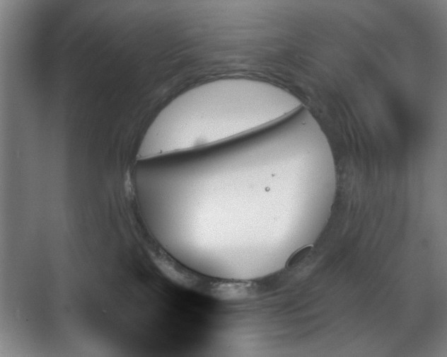 X0000070860089200606191327