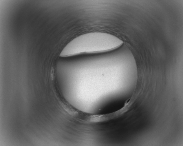 X0000070860090200606191327