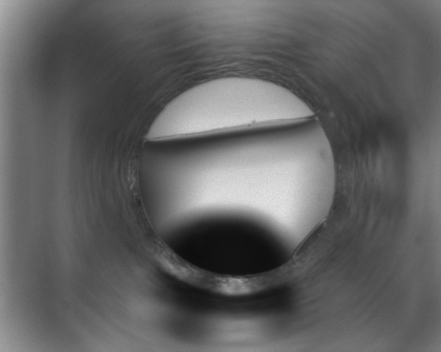 X0000070860091200606191327