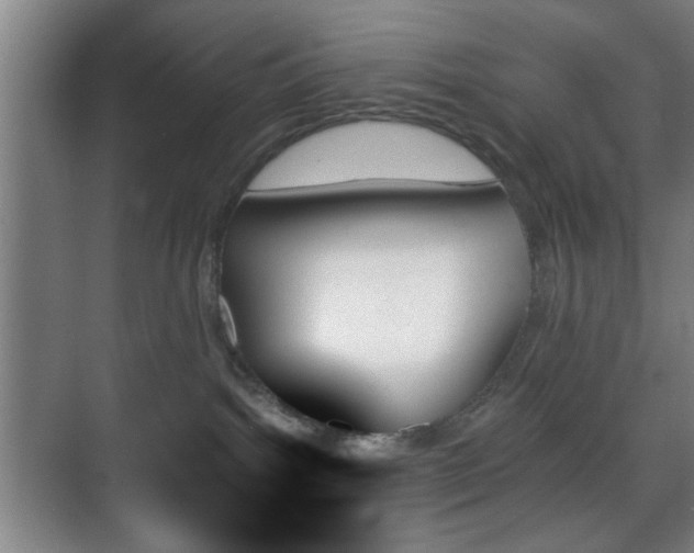 X0000070860092200606191327