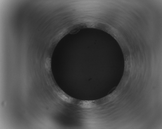 X0000070860093200606191328