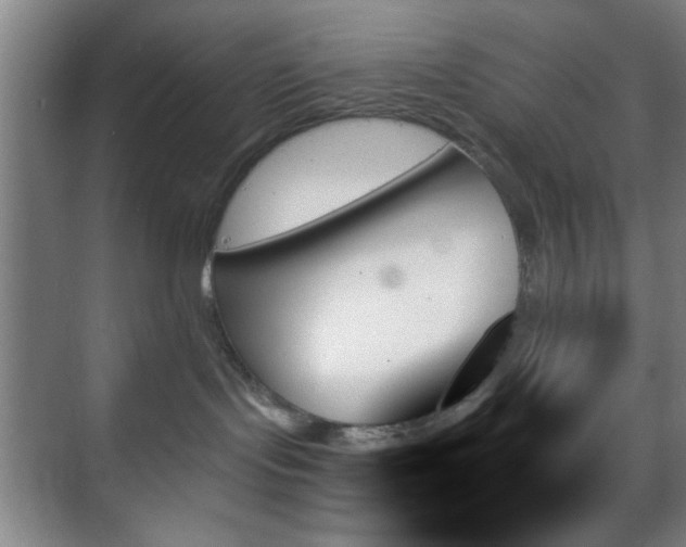 X0000070860095200606191328