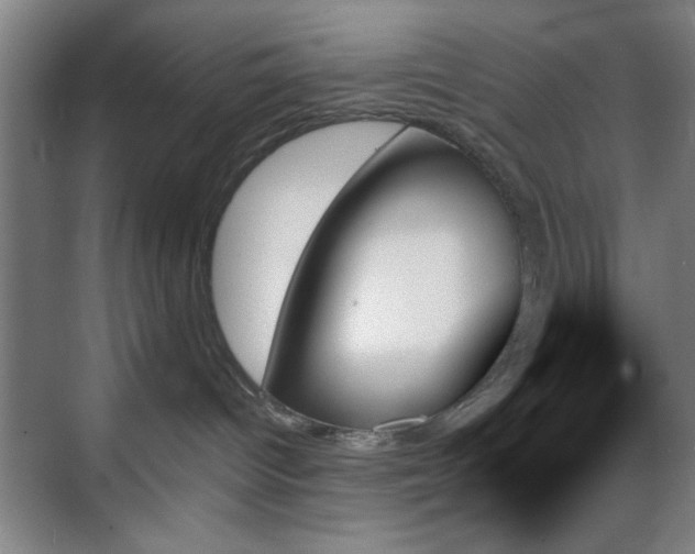 X0000070860096200606191328