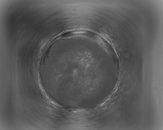 X0000070860097200606191327