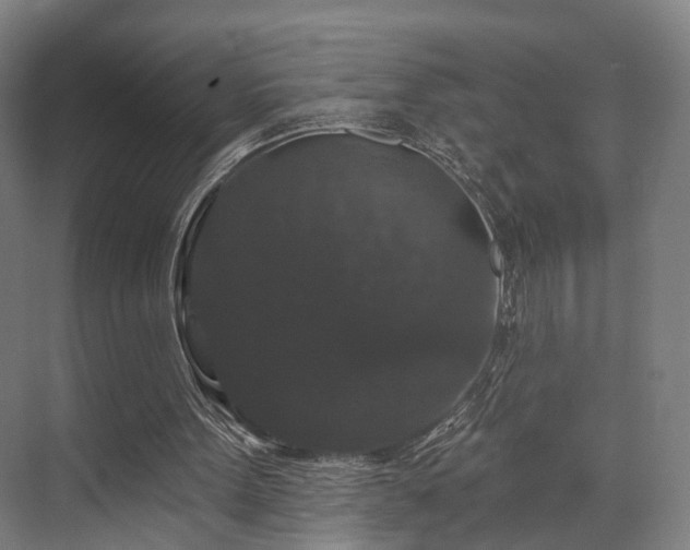 X0000070860099200606191327