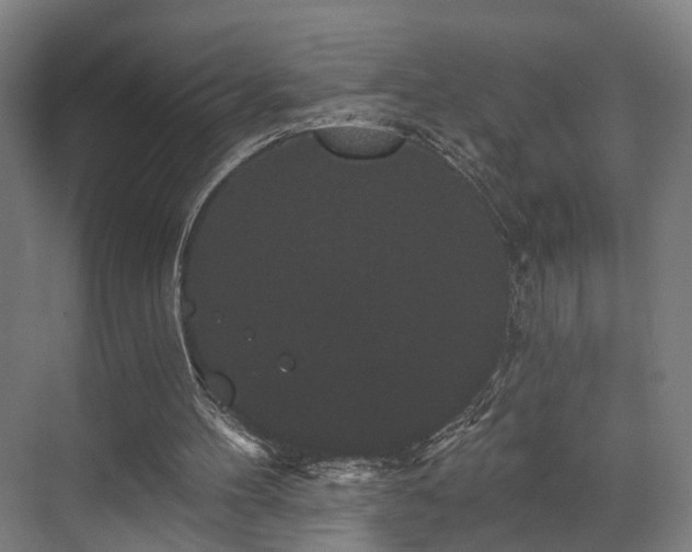 X0000070860100200606191327