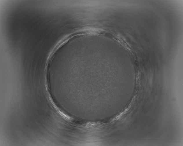 X0000070860101200606191327