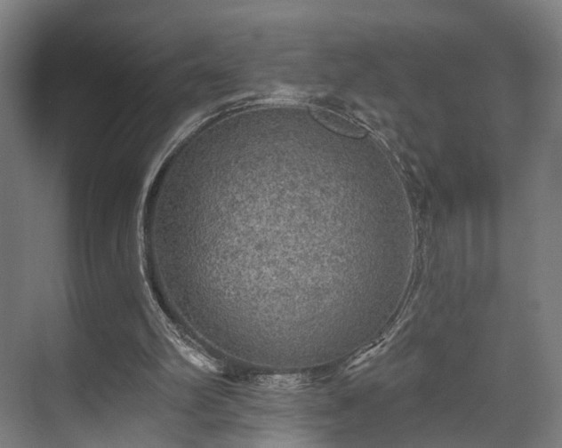 X0000070860102200606191327