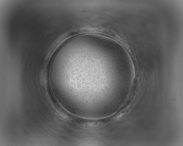 X0000070860103200606191327