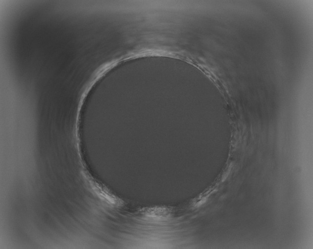 X0000070860104200606191327