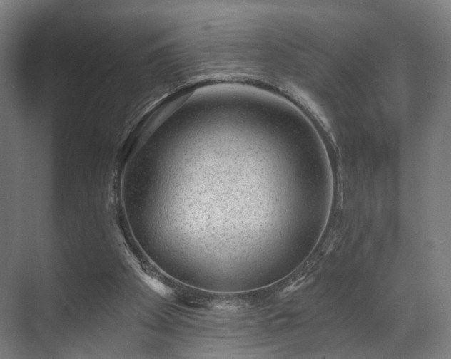 X0000070860105200606191327