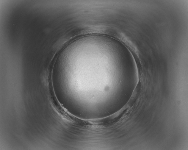 X0000070860107200606191327