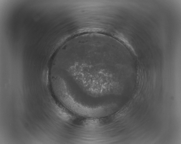 X0000070860110200606191327