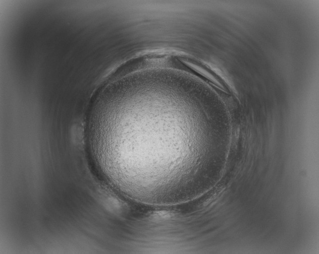 X0000070860111200606191327