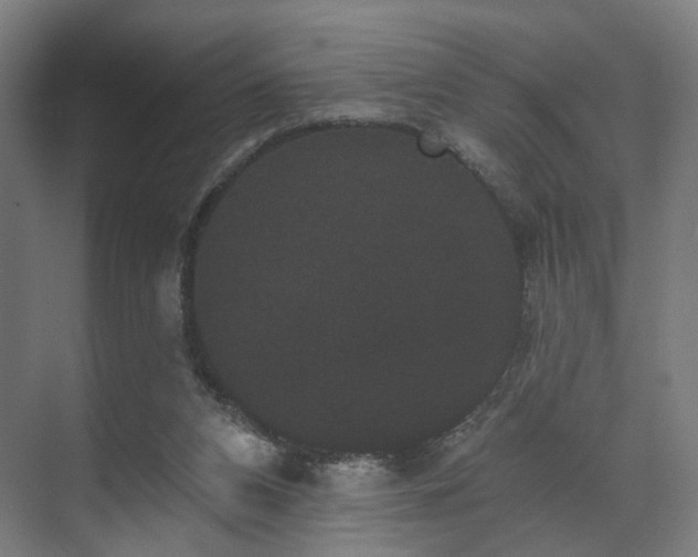 X0000070860112200606191327