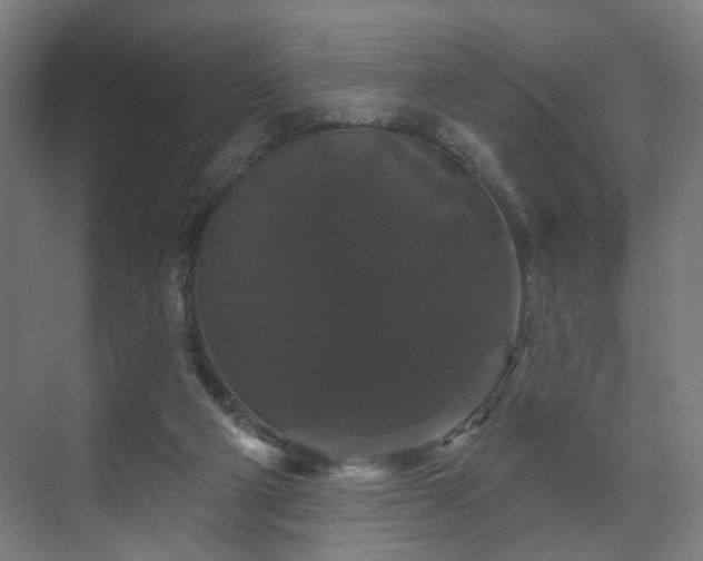 X0000070860114200606191326