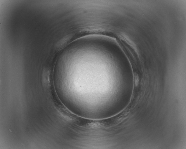 X0000070860115200606191326