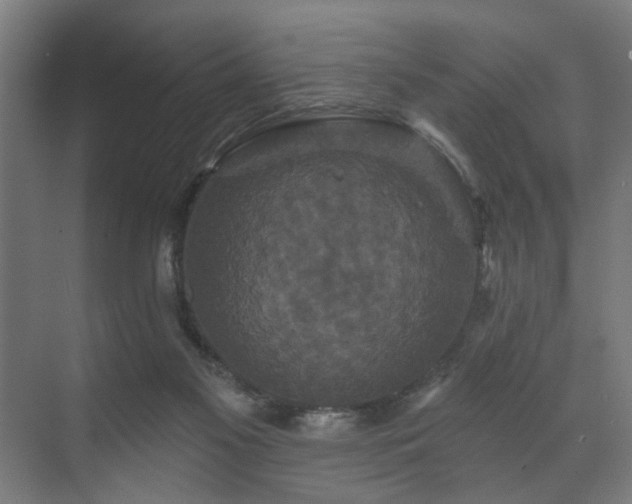 X0000070860117200606191326