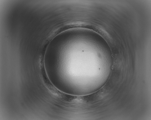 X0000070860119200606191326