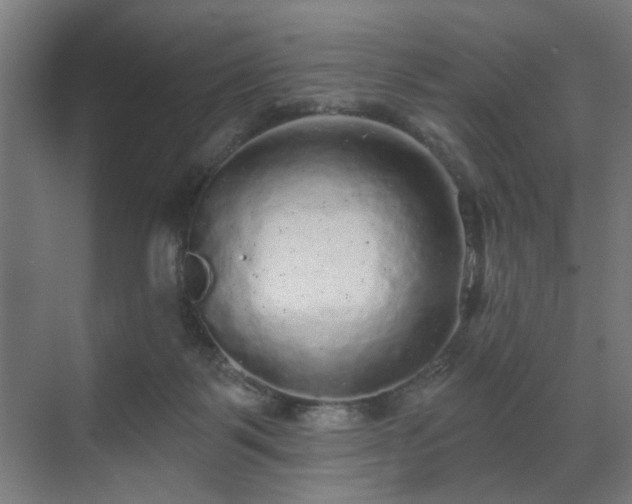 X0000070860123200606191326