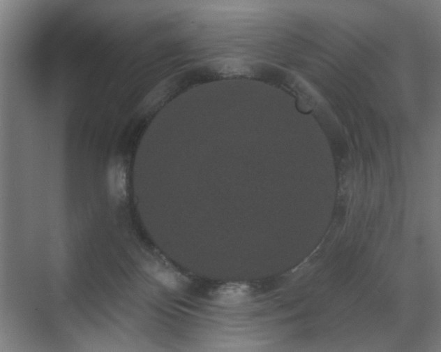 X0000070860124200606191326