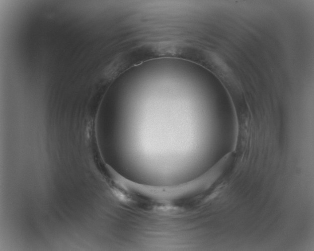 X0000070860125200606191326