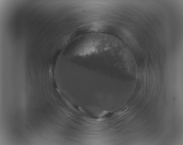 X0000070860127200606191326